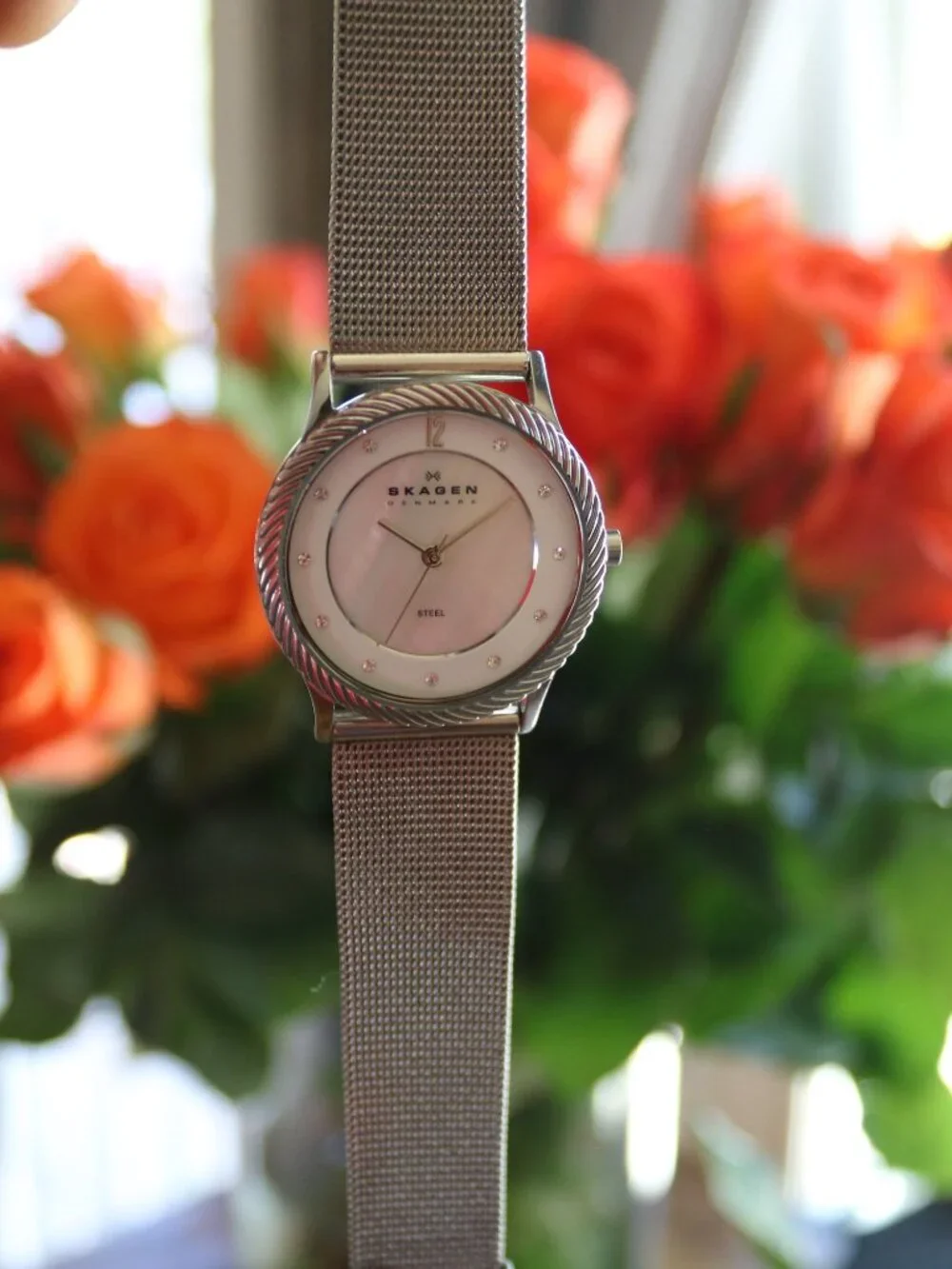 Skagen highlighted item